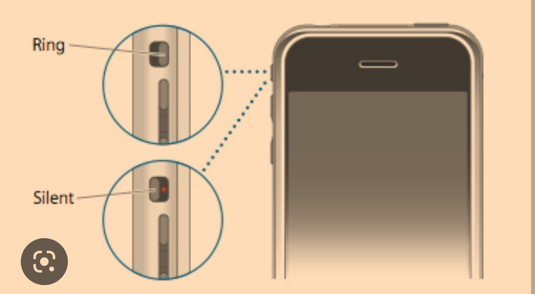 Toggle Off Silent Switch